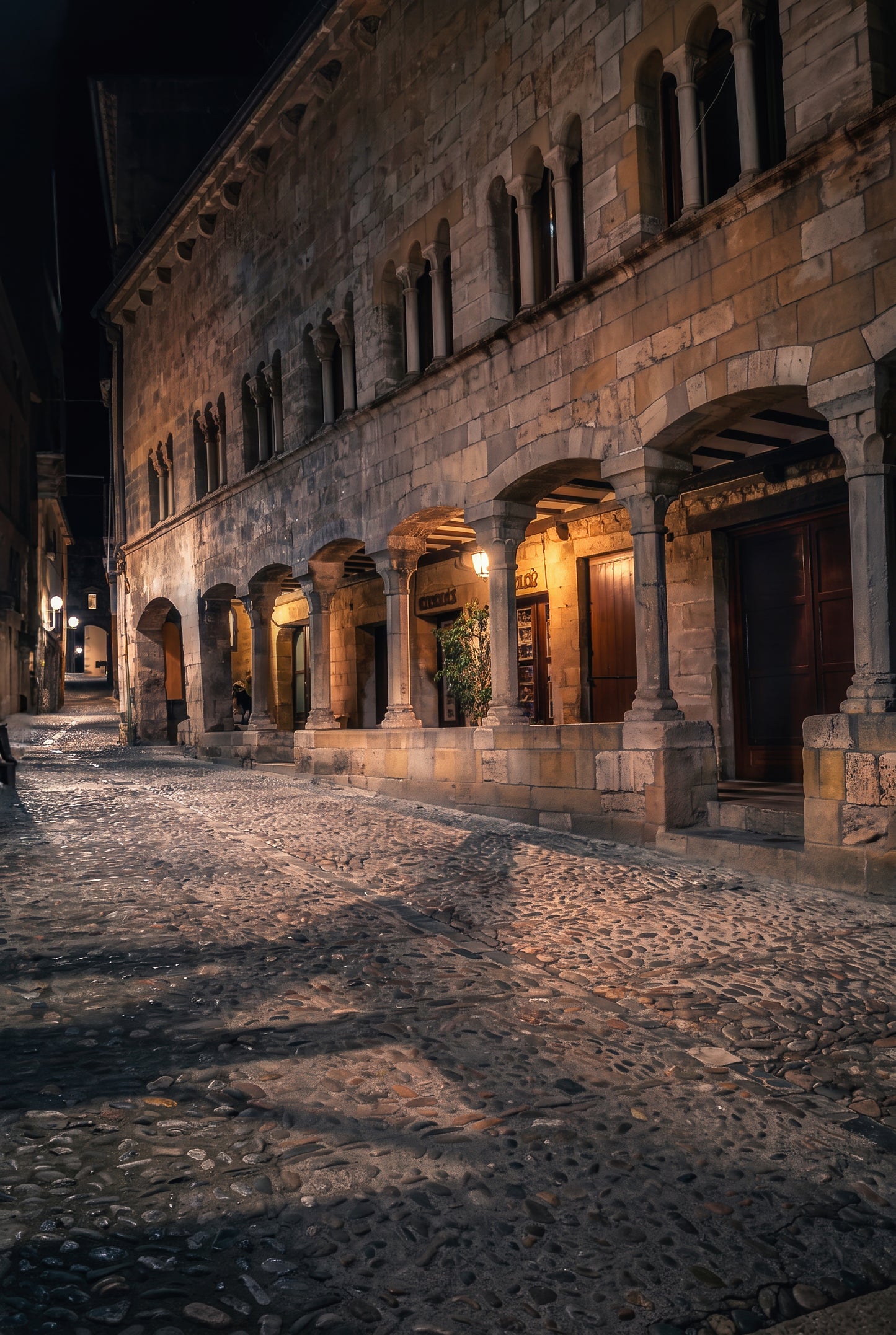 The Silent Arcade: Besalú