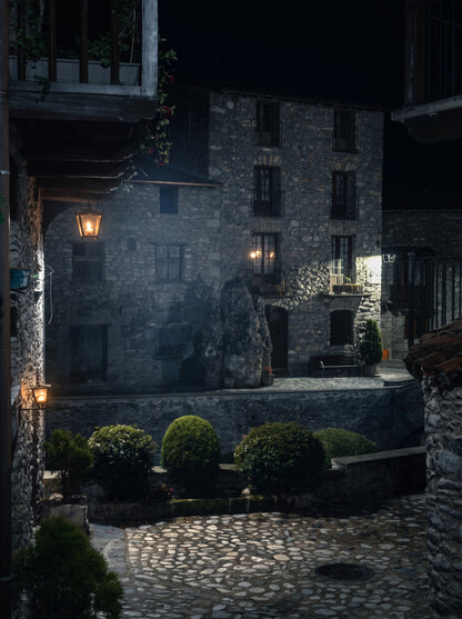 Sentinels in the Courtyard