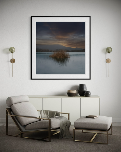 The Reed Island: Lake Banyoles