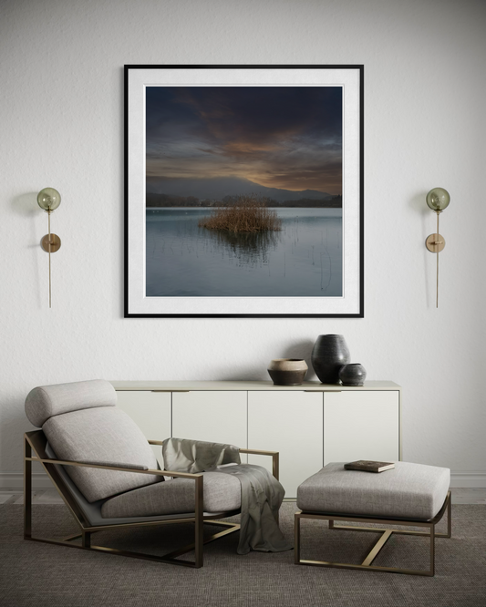 The Reed Island: Lake Banyoles
