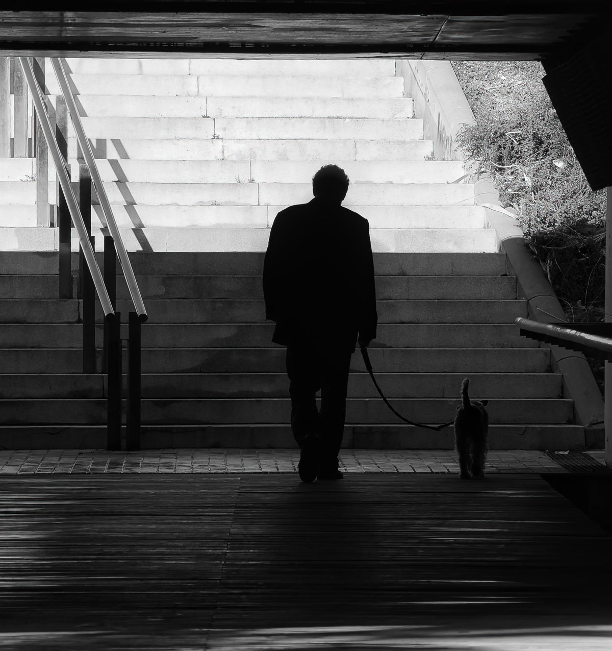 Hombre y perro subiendo una escalinata en silueta, en blanco y negro, Mataró. Fotografía fine art, edición limitada de 5 ejemplares.